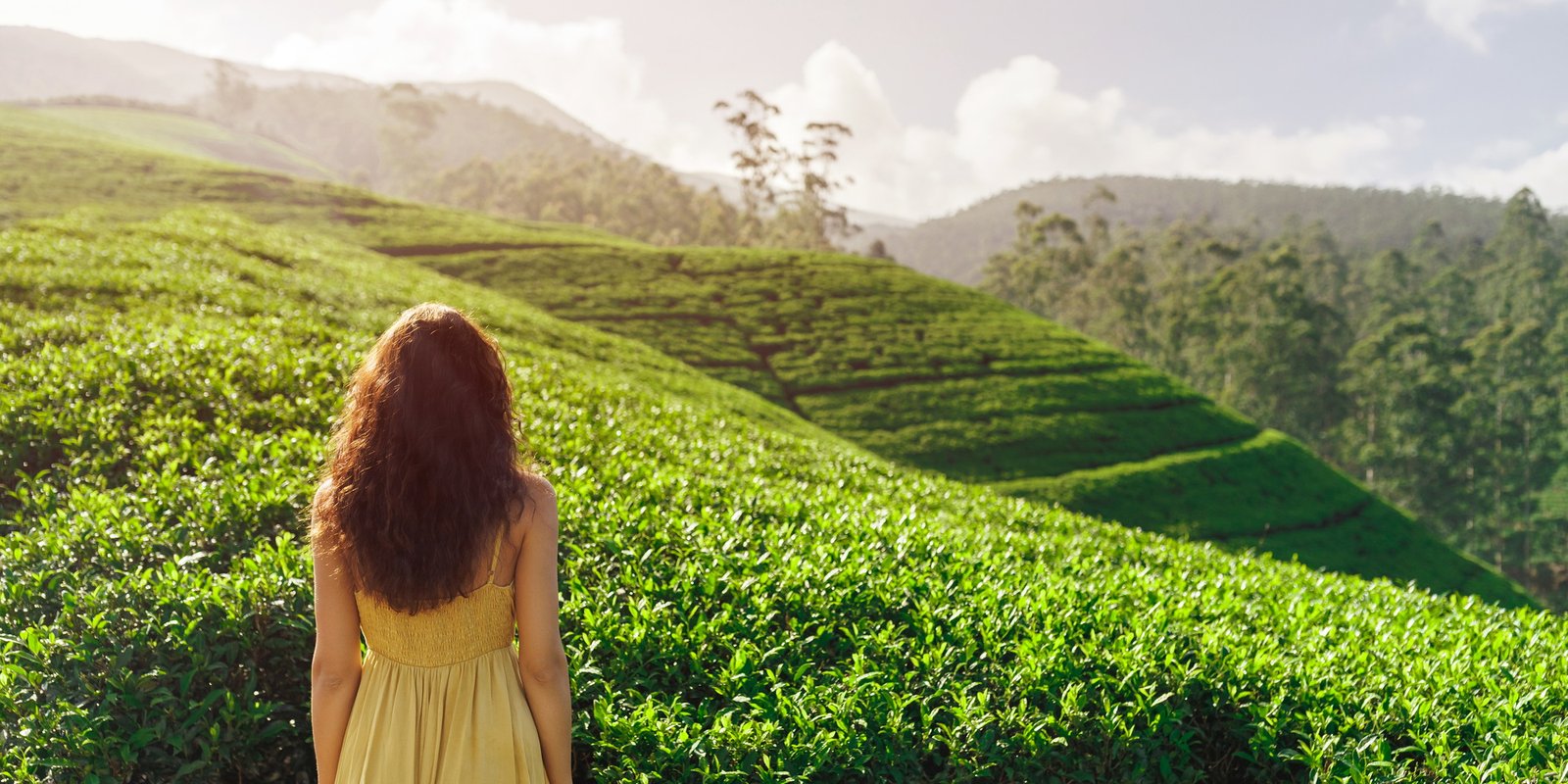 Woman traveler at the Tea plantations in Nuwara Eliya, Sri Lanka