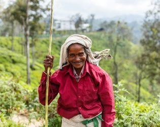 ELLA, SRI LANKA - JAN 17, 2017: selective focus of smiling senior asian woman on hill in Asia