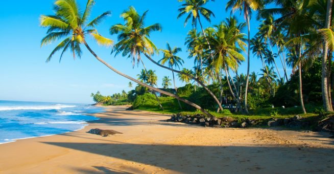 Untouched tropical beach in Sri Lanka